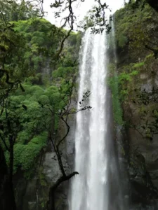 unnamed - 2025-09-22T120305.581