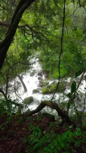 unnamed - 2025-09-22T120349.390