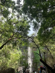 unnamed - 2025-09-22T120435.128